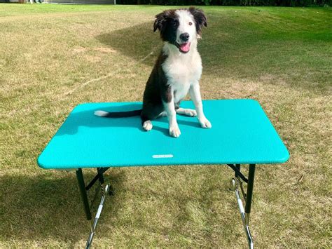 Dog Grooming Table for sale compared to CraigsList | Only 2 left at -70%