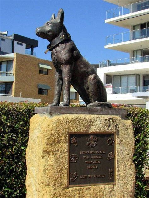 War Animals Memorial | Monument Australia