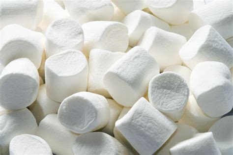 What Does the Marshmallow Test Actually Test? - Bloomberg