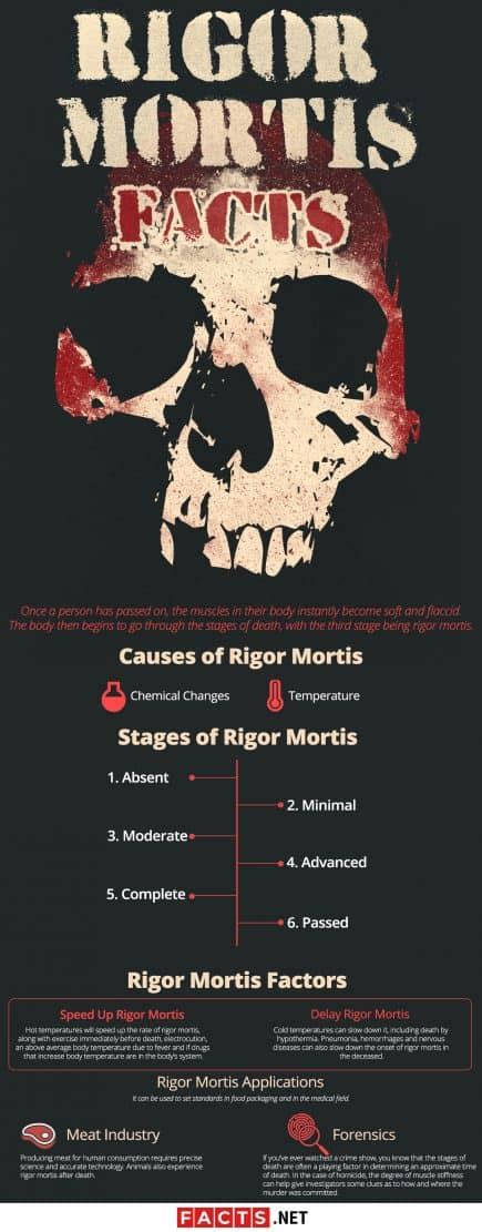 Rigor Mortis Facts That Will Surprise You - Facts.net