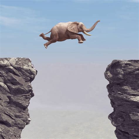 Elephant Jumping