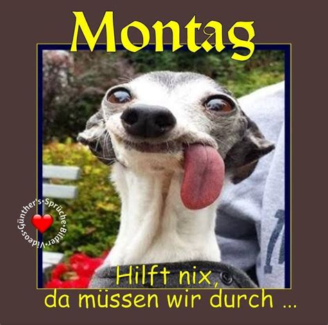 Montag Sprüche Lustig - Lustige Sprüche