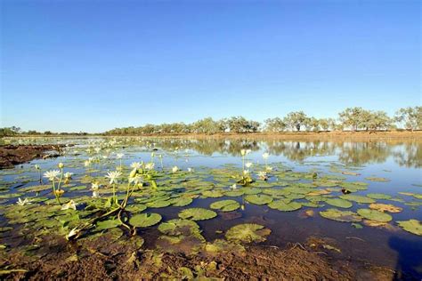 CAMOOWEAL ROADHOUSE: 2021 Reviews - Photos of Guesthouse - Tripadvisor