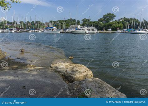 Waterfront Trail at Bayfront Park in Hamilton, Ontario, Canada. Stock ...