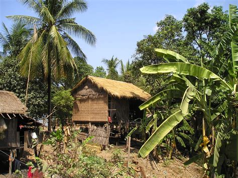 Free Images : tree, flower, hut, village, live, jungle, asia, botany, agriculture, resort ...