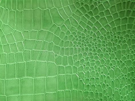 Crocodile skin pattern stock image. Image of macro, effect - 151713021