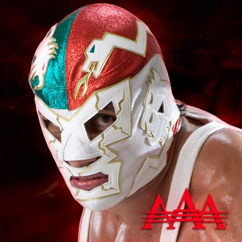 What's the coolest wrestling masks you've seen? : r/SquaredCircle