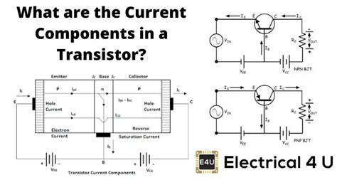 Current Components in a Transistor | Electrical4U