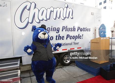 55 Charmin Bears Photos & High Res Pictures - Getty Images