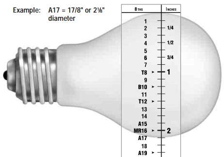 What is the difference between E26, E27 and A19? | Led lights, Light ...