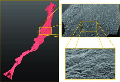 UAS structure-from-motion (SfM) photogrammetric point cloud (general ...