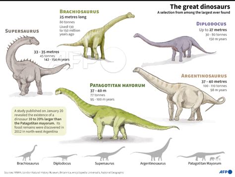 Argentinosaurus Vs Brachiosaurus