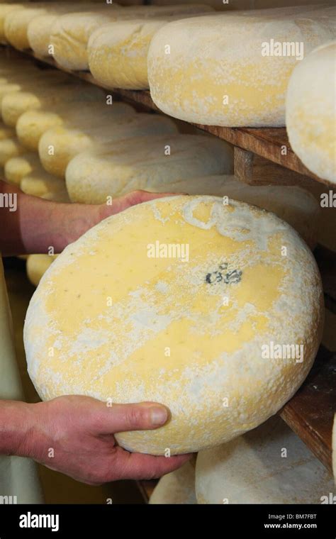 Cheese, "Bleu de Bresse Stock Photo - Alamy