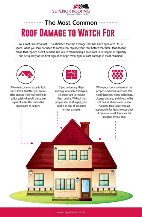 The Most Common Roof Damage to Watch For | Roof damage, Roof, Roofing