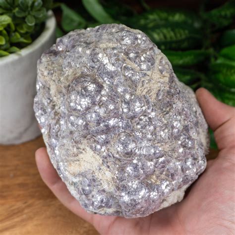 Large Raw Botryoidal Lepidolite on Quartz #4 - The Crystal Council