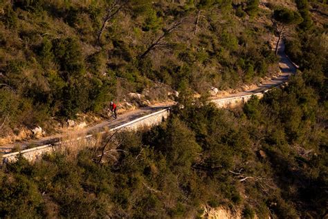 Canyon’s Wild New Gravel Bike Has A Funky Handlebar | Gear Patrol