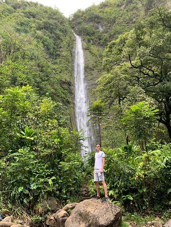 Waimoku Falls (Maui) - 2021 All You Need to Know BEFORE You Go | Tours ...