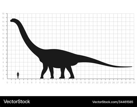 Comparison human and dinosaur sizes measuring Vector Image