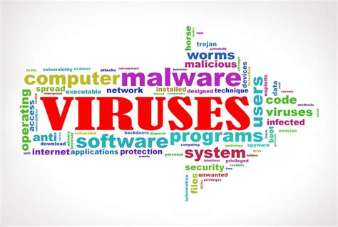 Difference Between Malware and Viruses | ProData Management