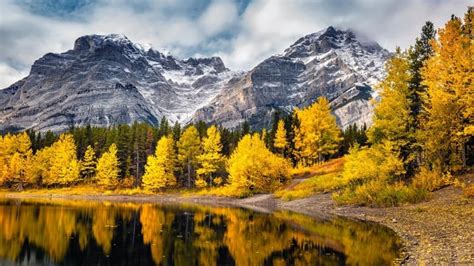 Top spots across Canada to take in breathtaking fall foliage | CBC Life