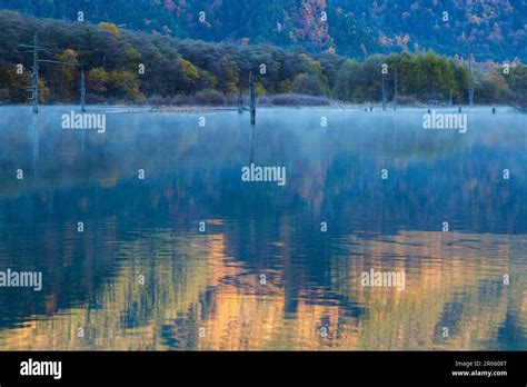 Dawn at Taisho Pond Stock Photo - Alamy