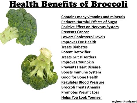 5 Effective health benefits of broccoli - My Health Only