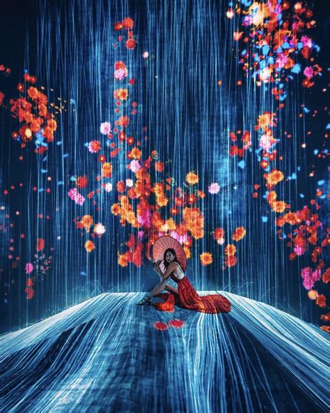 How To Book At TeamLab Borderless In Tokyo - Guide 2024 | Digital art photography, Japan art ...