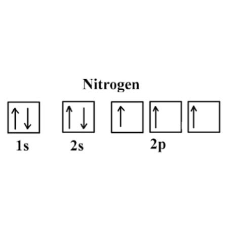 create the atomic orbital diagram for nitrogen. | Homework.Study.com