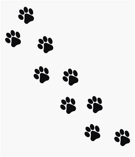 Footprint Animal Cat Png Image Animal Footprints Png - Transparent Cat ...