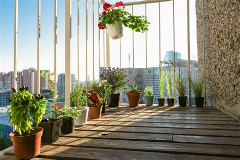 Questions to Ask Before Starting a Garden Balcony