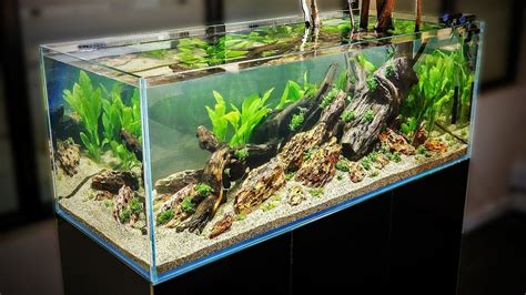 HOW TO AQUASCAPE a 125 gal. Nature Aquarium - YouTube | Paisajismo acuático, Acuario de casa ...