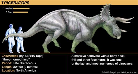 triceratops and human - Google Search | Dinosaur, Prehistoric animals, Britannica