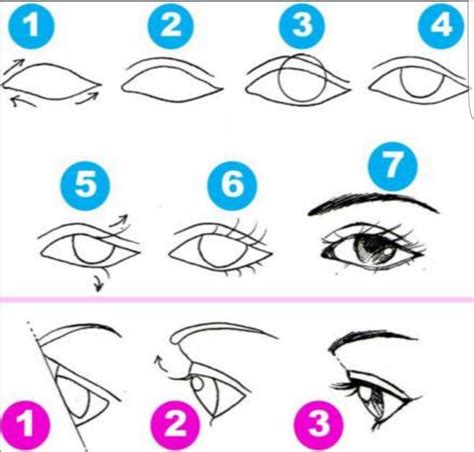 Comment dessiner un œil | Eye drawing, Drawing tutorial, Human eye drawing