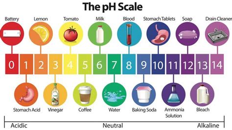 Why are vinegar and baking soda so good for cleaning? | Live Science