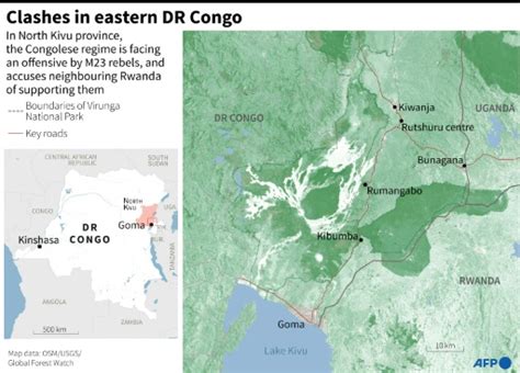 M23 rebels say Rwanda-DR Congo ceasefire deal does not affect them