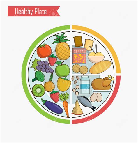 Healthy Food Infographic Chart Illustration Of Plate - Healthy Eating Kids , Free Transparent ...