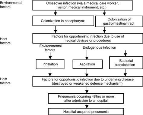 Bronchopneumonia Pathophysiology