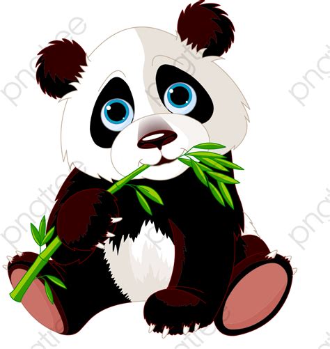 Panda Bear PNG HD | PNG Mart