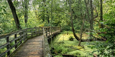 Rondeau Provincial Park: Hiking Trails With Beautiful Scenery and Wildlife - Ontario Hiking