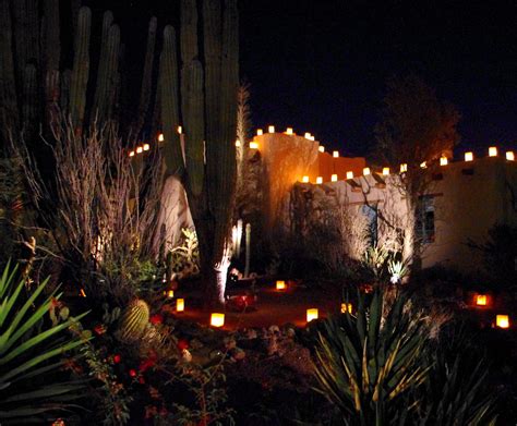 18 Luminarias Desert Botanical Garden Ideas You Must Look | SharonSable