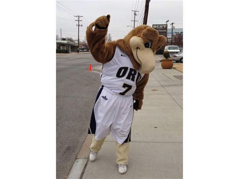 Oral Roberts Golden Eagles | Mascot, Ncaa, Eagles