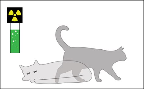 A diagram of Schrödinger's cat in a state of being both alive and dead ...