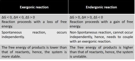 Exergonic And Endergonic Reactions