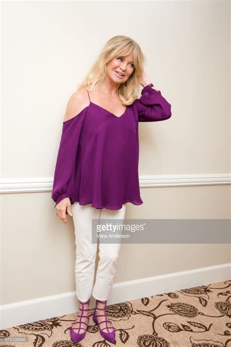 Goldie Hawn at the 'Snatched' Press Conference at the Fairmont Hotel on April 22, 2017 in Santa ...