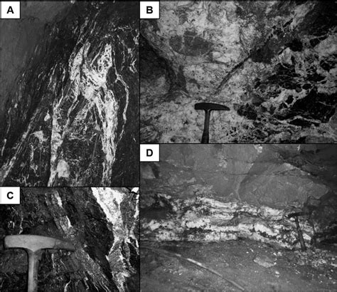 Photos showing different morphologies of quartz veins. A. Anastomosing... | Download Scientific ...