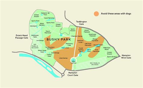 The Royal Parks on Twitter: "If you're planning to visit Richmond Park or Bushy Park then note ...