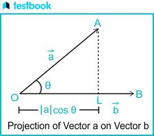 Vector Projection Formula: With Definition, Proof, Solved Example