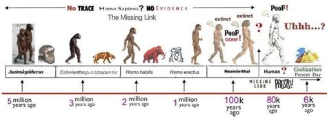 human timeline - Google Search | Human evolution, Evolution, History ...