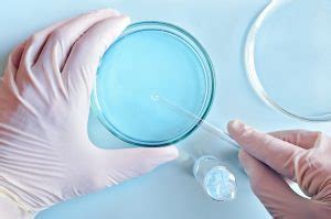 Legionella Treatment St. Petersburg | R2J