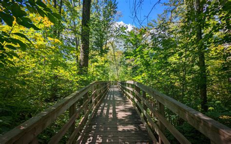 Rondeau Provincial Park: Camping, Hiking & More Fun On Lake Erie » I've Been Bit! Travel Blog